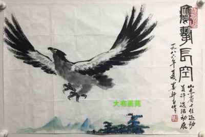 婁師白精品開三軟片